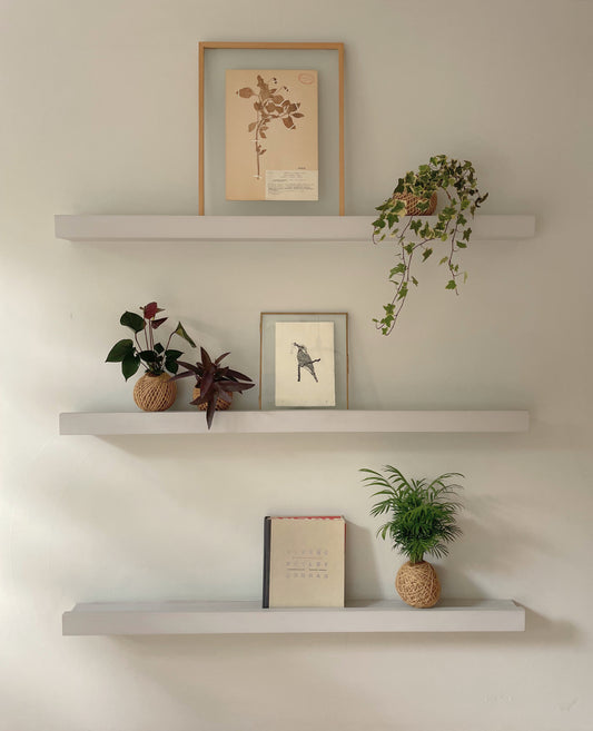 Kokedama Chamaedorea Elegans