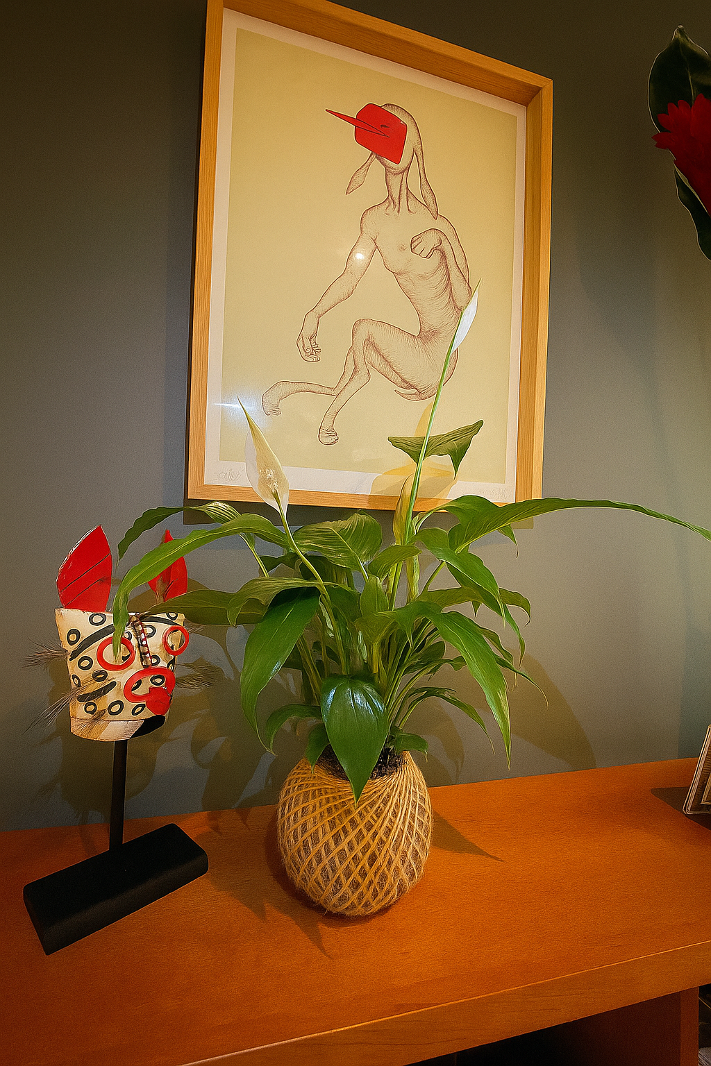 Kokedama Spathiphyllum